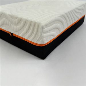 Bed Bug Proof Mattress Protector
