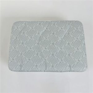 Mattress Protector Anti Bed Bug